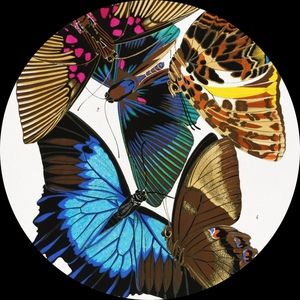 Meet your Posher, Karen